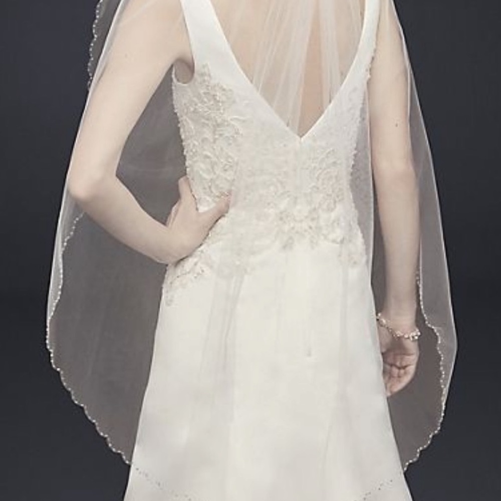 David’s Bridal Beaded Wedding Veil